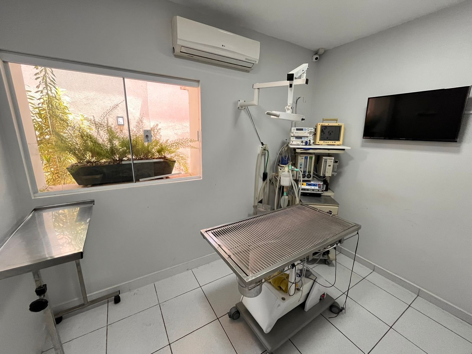 Estrutura do Hospital Veterinário CliniCare — foto 14