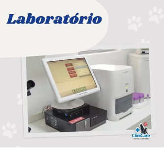 Laboratório