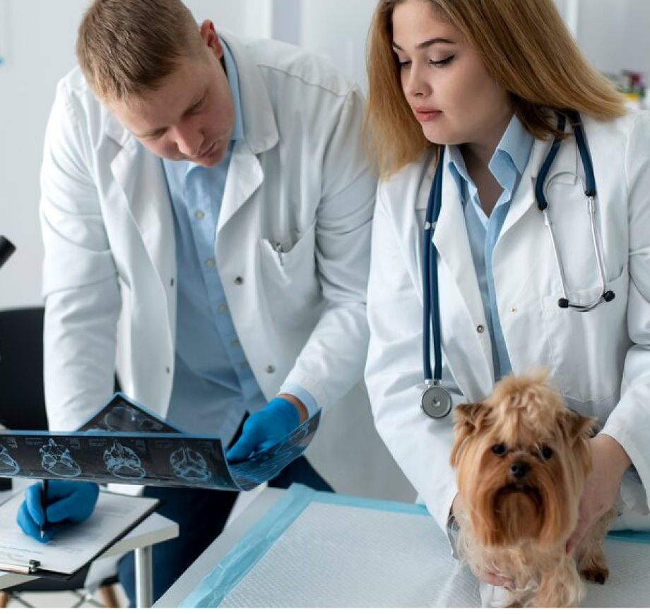 Neurologia — CliniCare