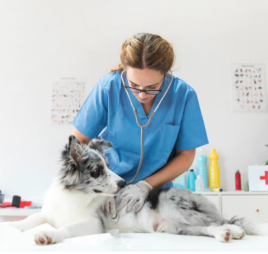 Pronto Atendimento — CliniCare