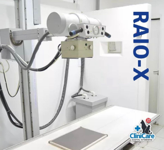 Raio-X